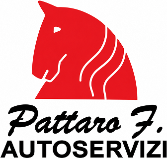 Logo Pattaro Autoservizi