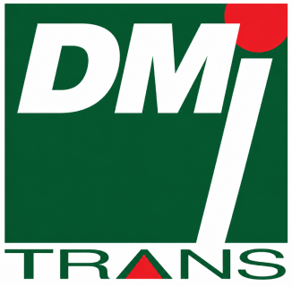 Logo Dmi